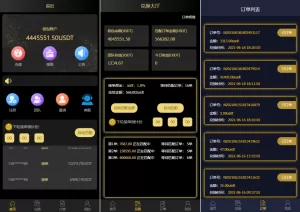 二开版USDT抢单系统 - 自动匹配订单，USDT跑分系统，高效安全的数字货币交易解决方案-海外源码商
