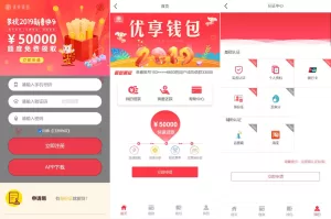 小额贷款系统 - 贷款源码支持VIP购买与提现排队，打造高效金融管理平台-海外源码商