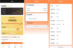 Vue版贷款系统 - 海外贷款源码与小额贷款解决方案，打造高效金融管理平台-海外源码商