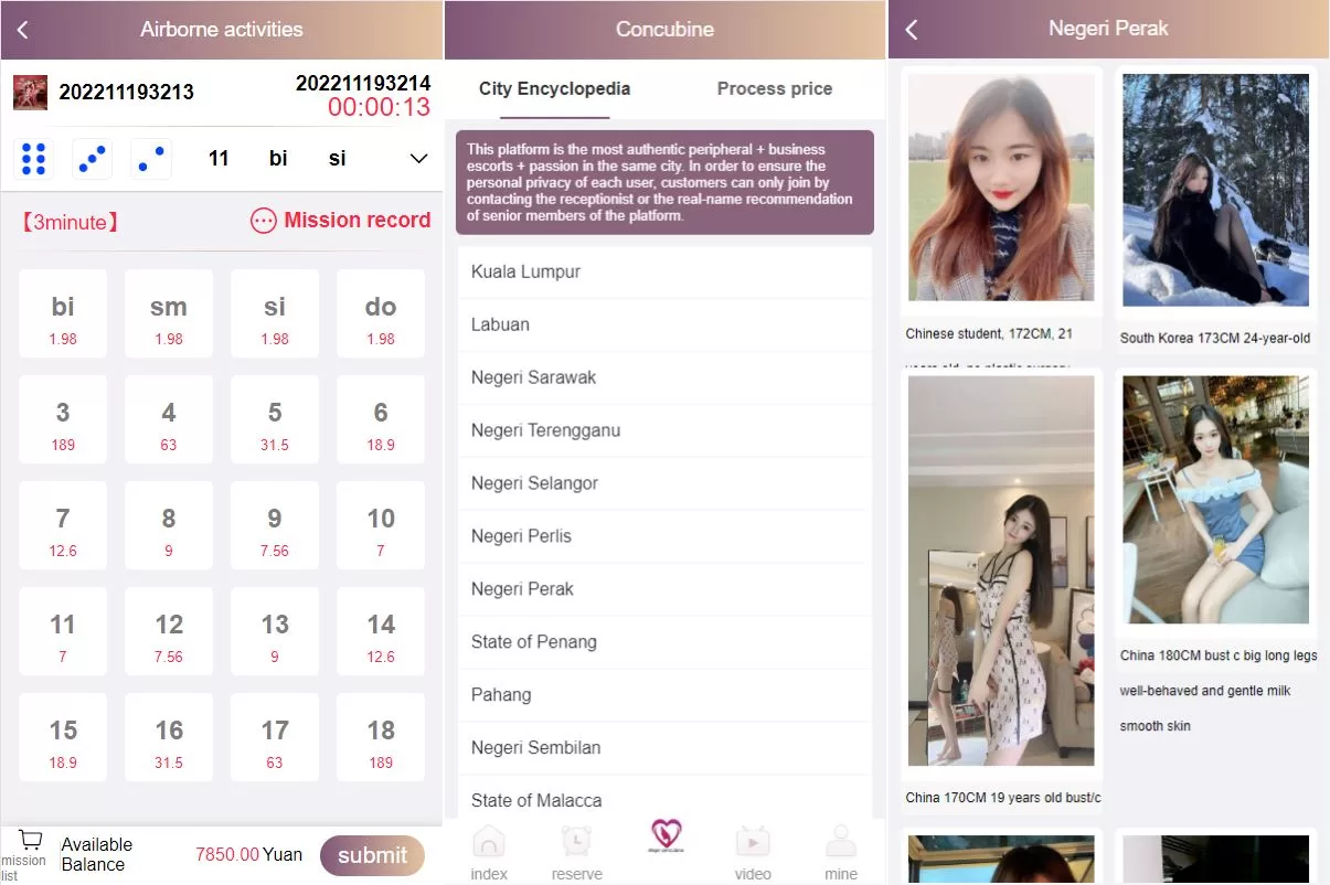 图片[2]-多语言空降约炮同城任务源码 - 全功能空降系统彩、带控与Vue前端集成 - 海外源码商-海外源码商
