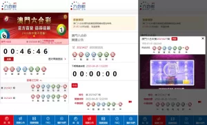 澳门六合彩开奖网源码 - 高效六合彩开奖系统与摇号视频自动生成-海外源码商