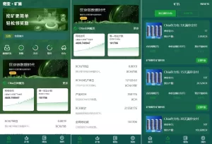 USDT矿机系统源码——BZZ分币与虚拟币矿机收益管理平台-海外源码商