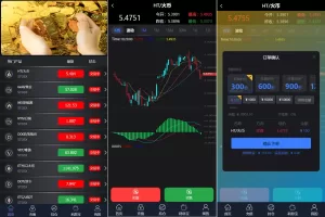 新框架全新修复版微交易系统源码——虚拟币理财+微盘交易+K线优化-海外源码商