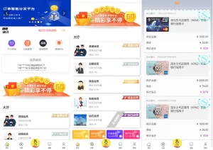 UI二开版抢单刷单系统源码——订单自动匹配+智能连单+高效运营-海外源码商