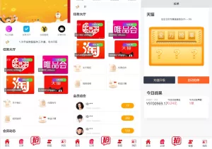 精美UI抢单系统源码——自动匹配+刷单系统+多语言支持-海外源码商