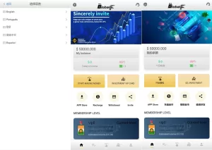 全新UI多语言海外抢单源码——自动抢单刷单系统+订单自动匹配-海外源码商