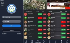 完美版三语言微交易系统源码——微盘+K线稳定+投资理财-海外源码商