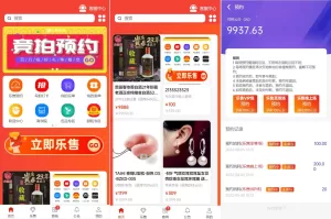 uniapp竞拍商城源码/抢拍转拍系统/AI购拆分溢价商城-海外源码商