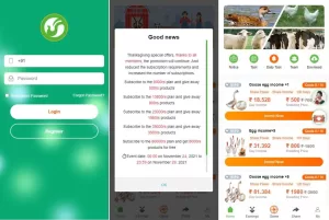 海外版养殖投资理财系统/养鸡养鸭项目投资源码/任务推广注册奖励源码-海外源码商