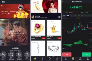 二开版微交易系统/贵金属交易平台/微盘交易系统源码-海外源码商