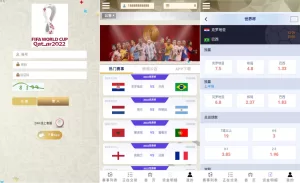 TG淘金网二开版/世界杯反波胆源码/球盘系统源码-海外源码商