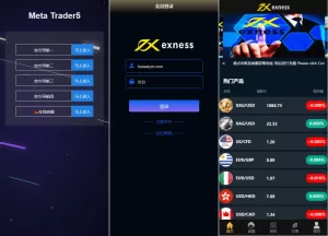 运营版微盘系统/微交易源码/外汇期货虚拟币微盘源码-海外源码商