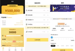 二开版UI小额贷款系统/贷款平台源码/套路贷源码-海外源码商
