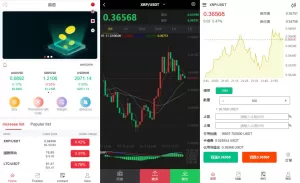 全新伪交易所系统/虚拟币期货外汇合约交易/微盘时间盘微交易源码-海外源码商