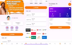 二开版海外抢单系统/在线派单连单/多语言抢单刷单源码-海外源码商