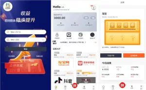 抢单拼团回购系统/抢单刷单源码/余额宝/订单自动匹配系统源码-海外源码商