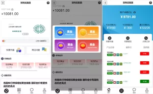 二开版微交易源码/房间限制微盘系统/期货微交易系统源码-海外源码商