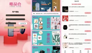 唯品会商城优惠卷投资系统/奢饰品投资理财系统源码-海外源码商