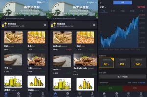 二开版微交易系统/粮食微盘源码/双语言微盘交易系统-海外源码商
