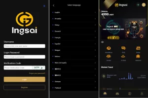 多语言海外机器人投资系统/虚拟币质押投资/区块链投资源码-海外源码商