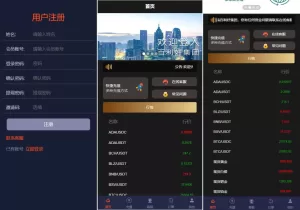 运营版微盘系统/期货黄金白银交易/微交易源码/代理后台源码-海外源码商
