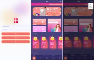 uniapp版海外抢单系统/刷单源码/分组杀连单控源码-海外源码商