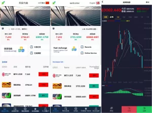 证券期货微交易系统/微盘时间盘源码/双语言投资理财源码-海外源码商