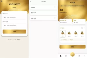新版多语言抢单刷单系统/海外连单刷单/抢单源码-海外源码商