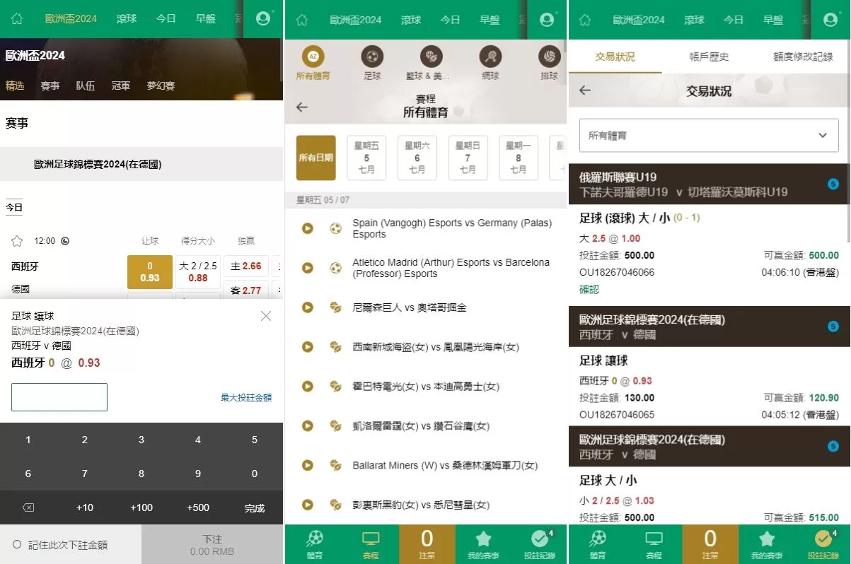 图片[2]-2024新版皇冠欧洲杯源码/多语言信用盘反波球盘/足球篮球体育盘源码 - 海外源码商-海外源码商
