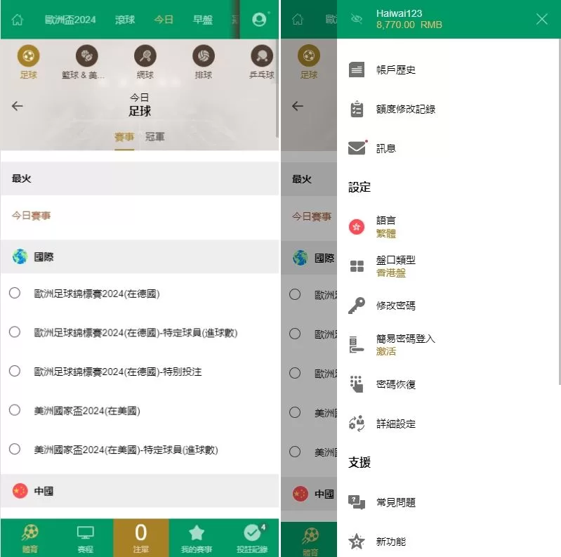 图片[3]-2024新版皇冠欧洲杯源码/多语言信用盘反波球盘/足球篮球体育盘源码 - 海外源码商-海外源码商