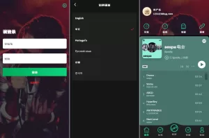 新版多语言音乐刷单系统/海外音乐抢单派单源码-海外源码商