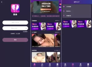 新UI空降同城任务系统/预设任务系统彩/前端VUE源码-海外源码商