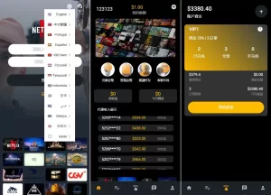 海外影视刷单抢单系统/多语言刷单/打针/叠加组源码-海外源码商