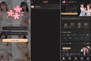 海外同城约炮空降任务系统源码/日本空降系统/前端Vue-海外源码商