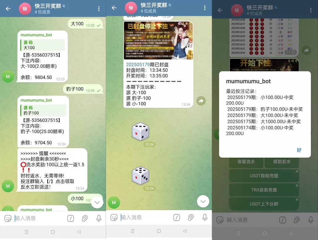 TG骰子快三系统 / 飞机频道玩法 / 手动上下分管理游戏 - 海外源码商-海外源码商