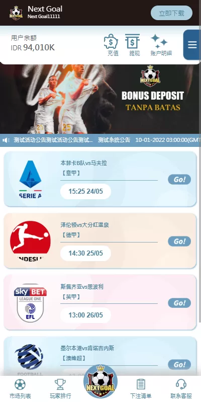 图片[9]-PC自适应反波胆系统/球盘源码/多级分销/充值返点 - 海外源码商-海外源码商